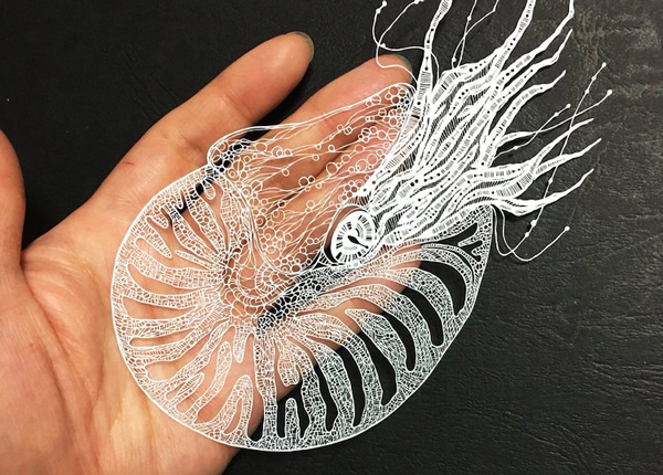 激光切割銅板紙與刀模切割的深入比較?(圖2)